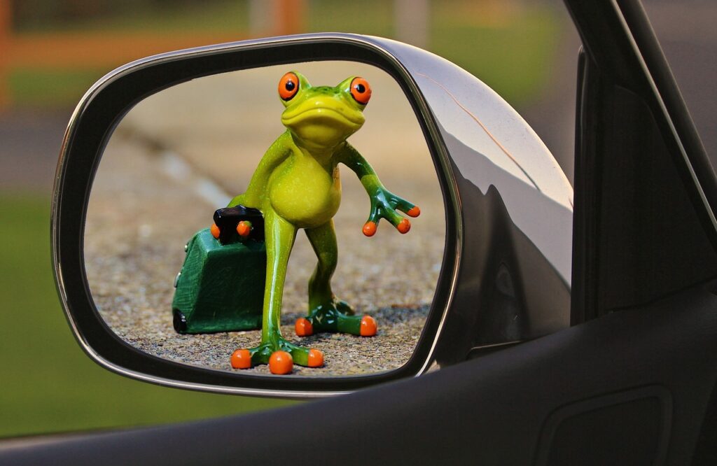 time to go, frog, farewell-1496960.jpg