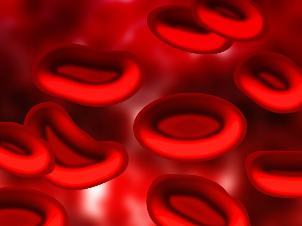 blood, blood plasma, red blood cells-75301.jpg